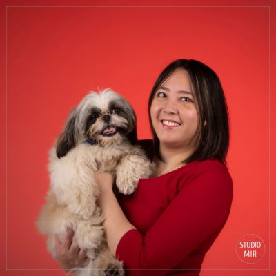 Photographe de chiens dans le Val de Marne : shooting Shi-tzu en studio