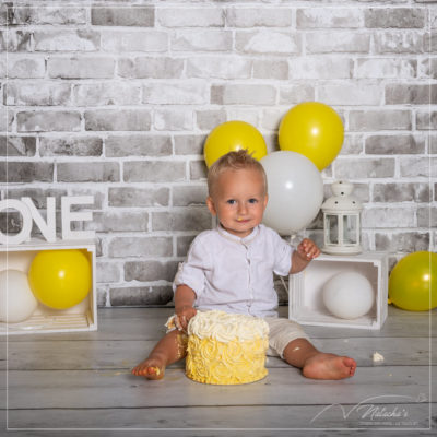 Photographe bébé : Smash the Cake dans le 94
