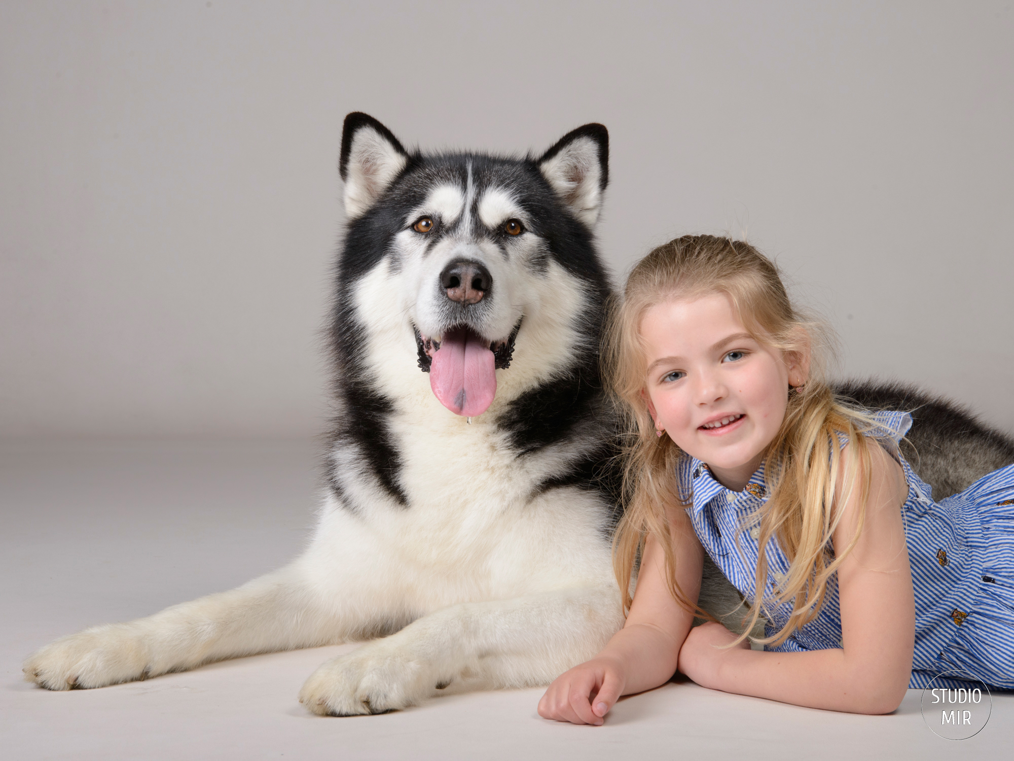 Séance photo avec vos animaux en région parisienne