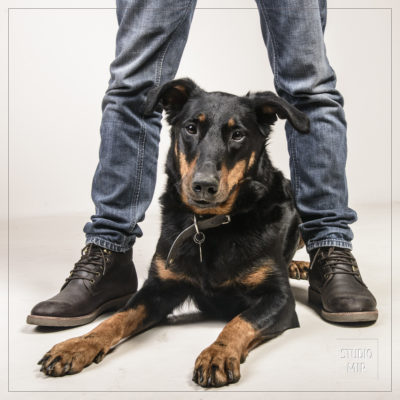Shooting photos chien et maîtres en Île de France