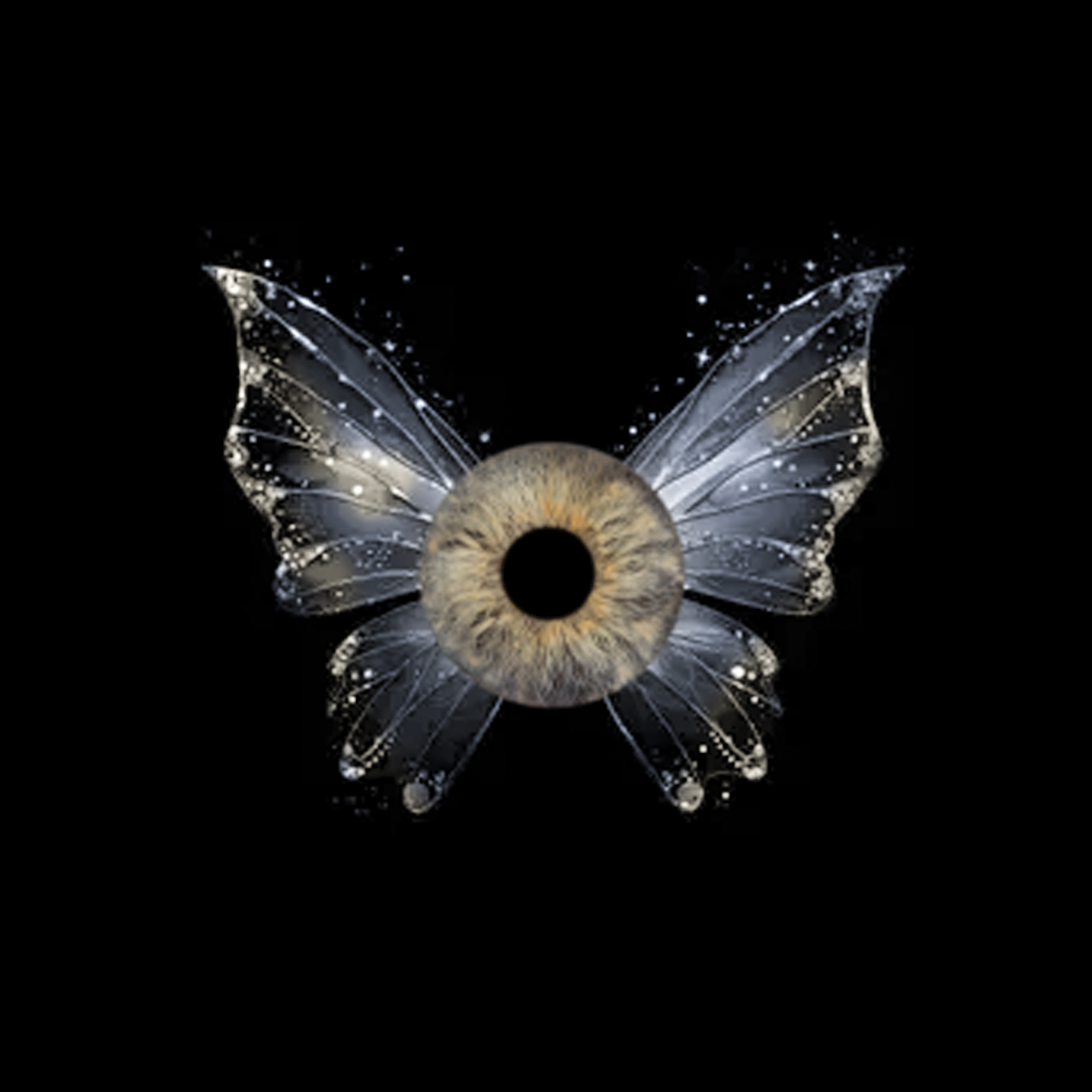 affate-art-photo-iris-papillon Effet ART - Photos d'iris au Studio Mir proche de Paris