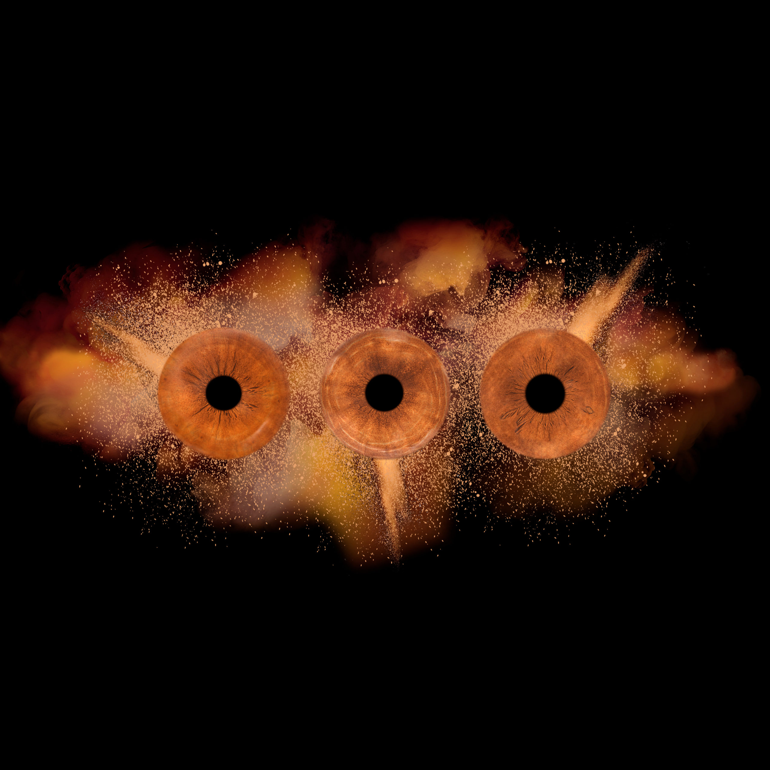 iris-art-explosion-studio-mir-paris Effet ART - Photos d'iris au Studio Mir proche de Paris