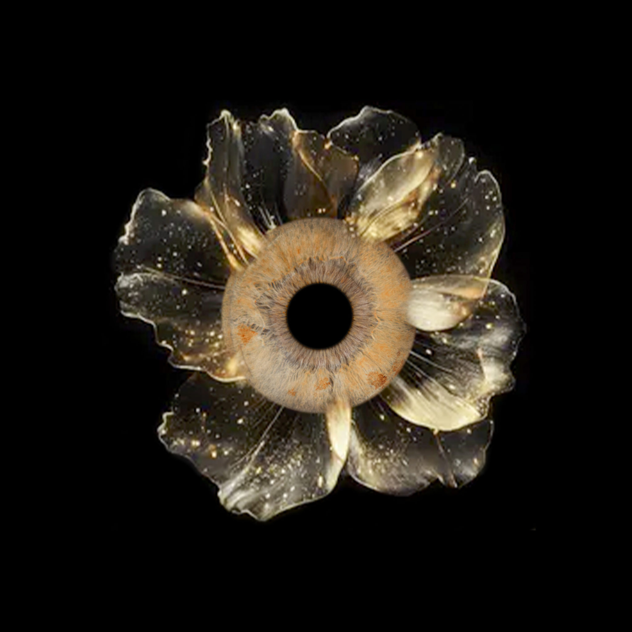 iris-photo-effet-fleur-d-eau-studio-mir-paris Effet ART - Photos d'iris au Studio Mir proche de Paris