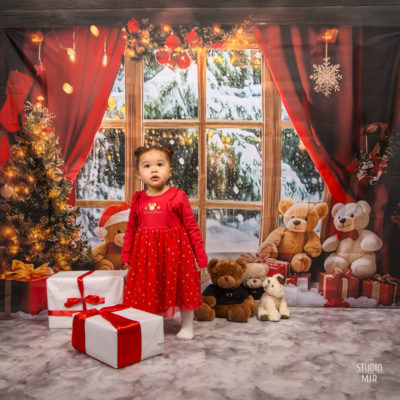 Séance noël en studio photo dans le Val de Marne
