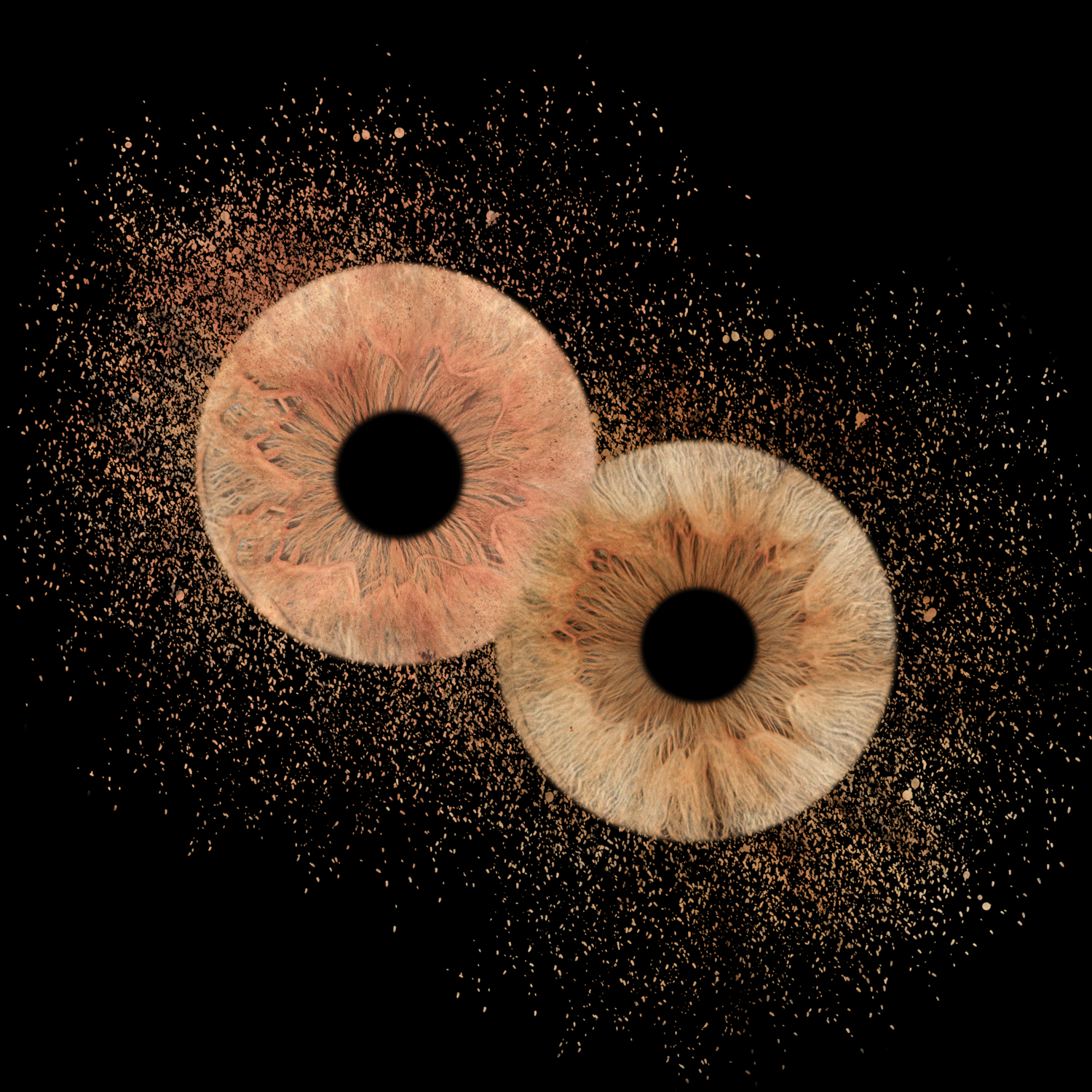 Idée cadeau pour a Saint-Valentin: un shooting iris