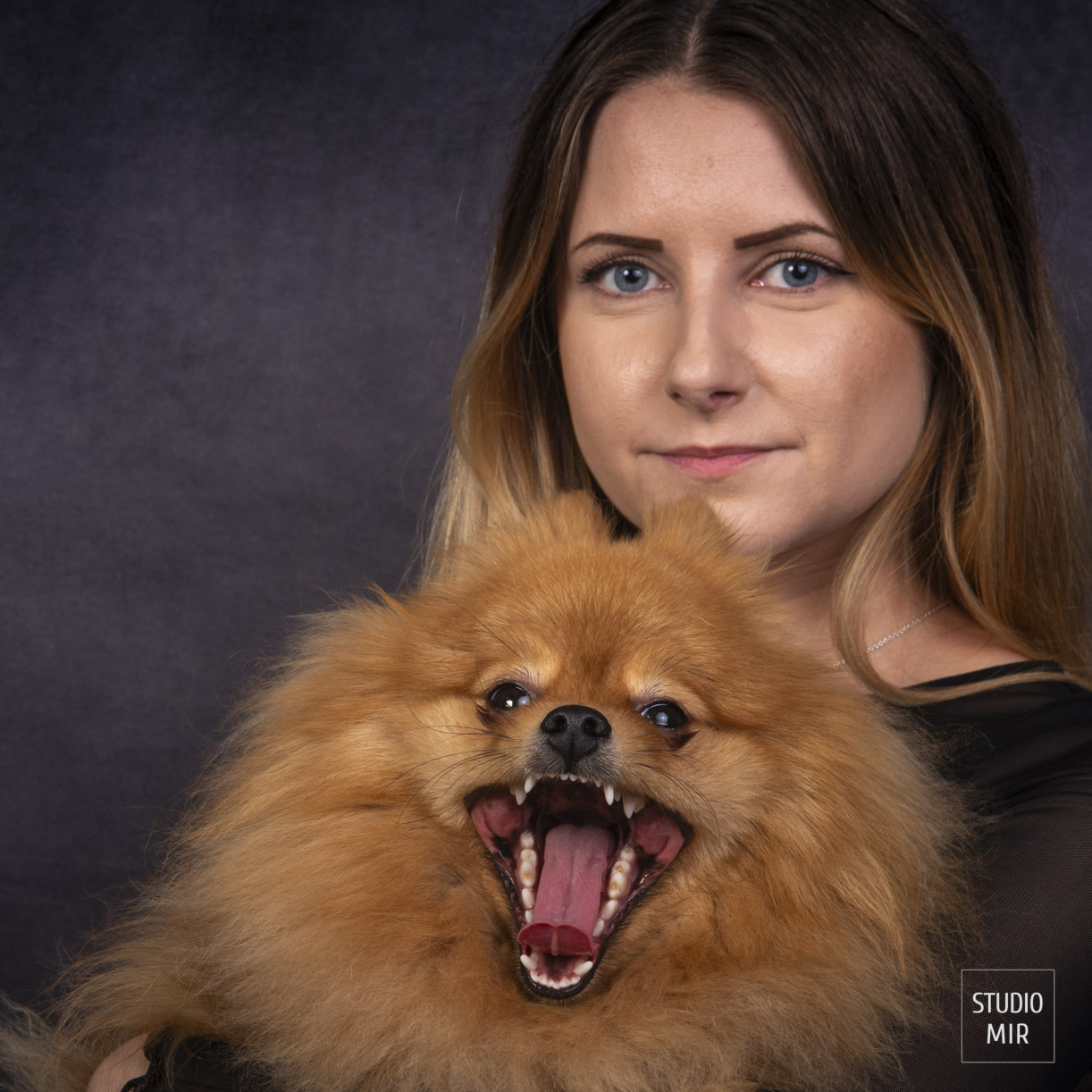 Shooting photos avec votre chien dans le Val de Marne
