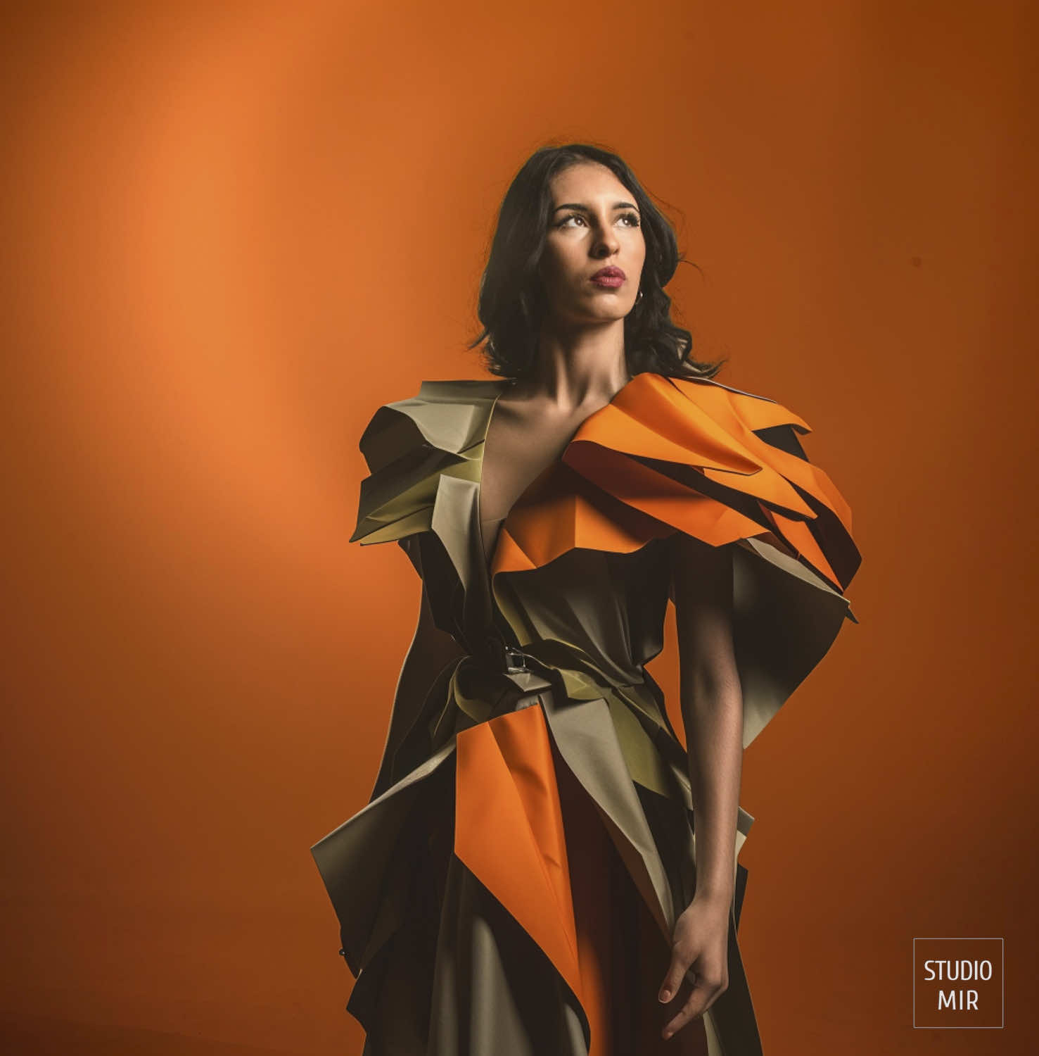 seance book modele studio  mir