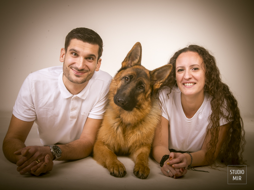Shooting photos avec votre chien dans le Val de Marne au Studio Mir pour des photos intemporelle avec votre animal de compagnie.