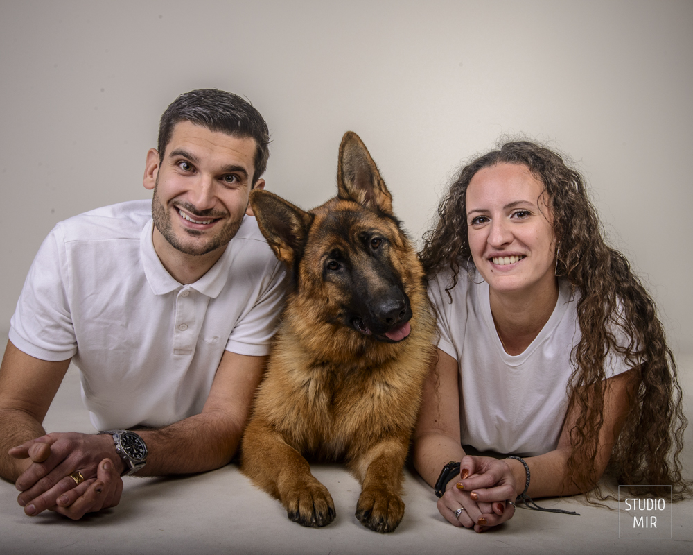 Shooting photos avec votre chien dans le Val de Marne au Studio Mir pour des photos intemporelle avec votre animal de compagnie.